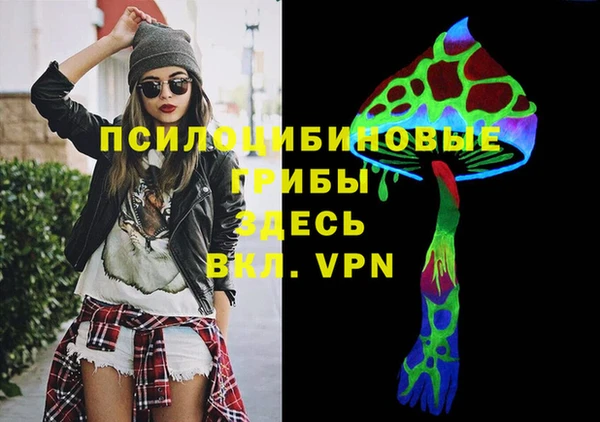 мяу мяу мука Алзамай