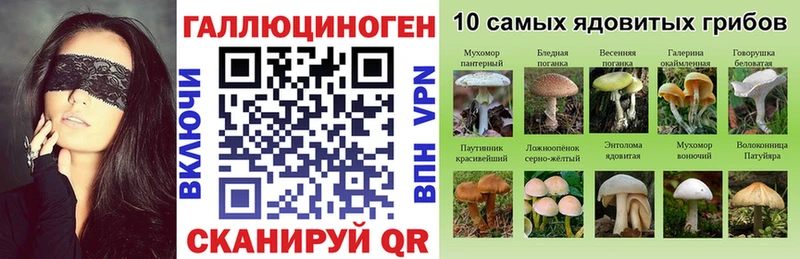 Галлюциногенные грибы GOLDEN TEACHER  даркнет Telegram  Димитровград 