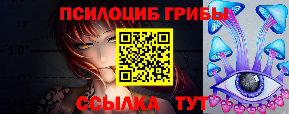 Димитровград  Галлюциногенные грибы Psilocybine cubensis  Вход с VPN 