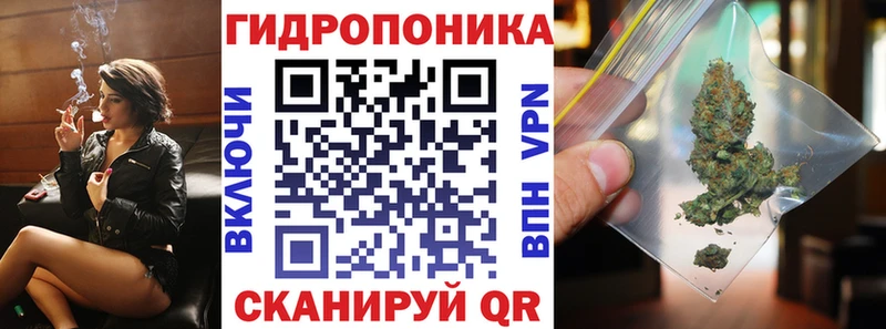 Канабис план  omg зеркало  Димитровград  купить  