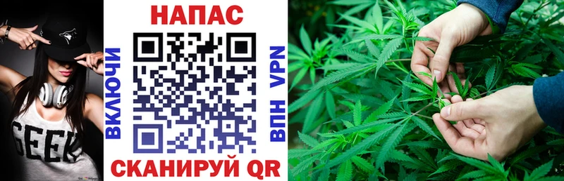 Марихуана гибрид Димитровград